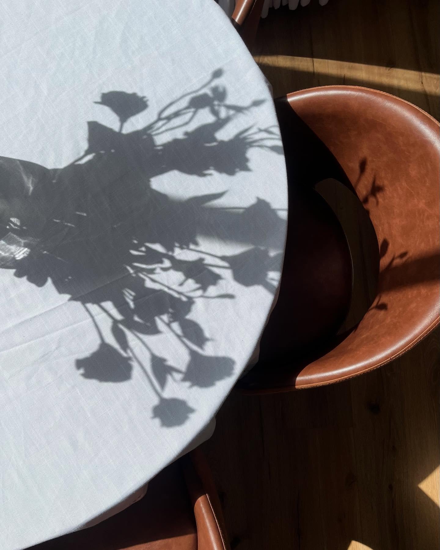 “Even in the shadows, flowers find a way to shine.”